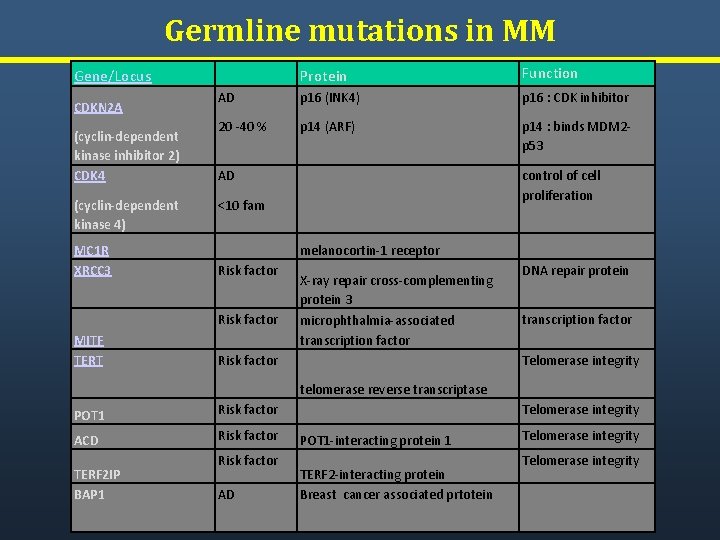 Germline mutations in MM Protein Function AD p 16 (INK 4) p 16 :