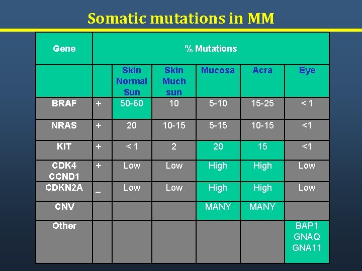 Somatic mutations in MM Gene % Mutations Skin Normal Much Sun sun 50 -60