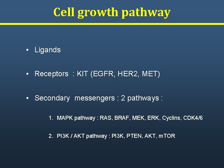 Cell growth pathway • Ligands • Receptors : KIT (EGFR, HER 2, MET) •