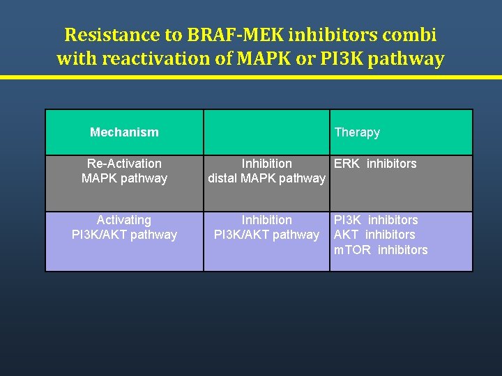 Resistance to BRAF-MEK inhibitors combi with reactivation of MAPK or PI 3 K pathway