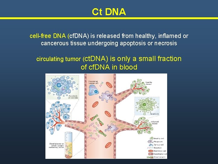 Ct DNA cell-free DNA (cf. DNA) is released from healthy, inflamed or cancerous tissue