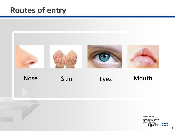 Routes of entry Nose Skin Eyes Mouth 6 