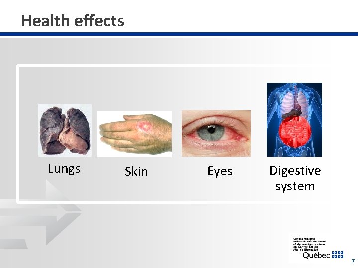 Health effects Lungs Skin Eyes Digestive system 7 