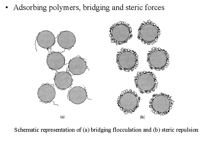  • Adsorbing polymers, bridging and steric forces Schematic representation of (a) bridging flocculation