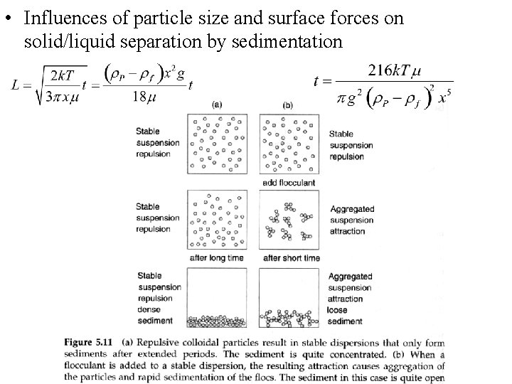  • Influences of particle size and surface forces on solid/liquid separation by sedimentation