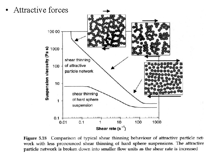  • Attractive forces 