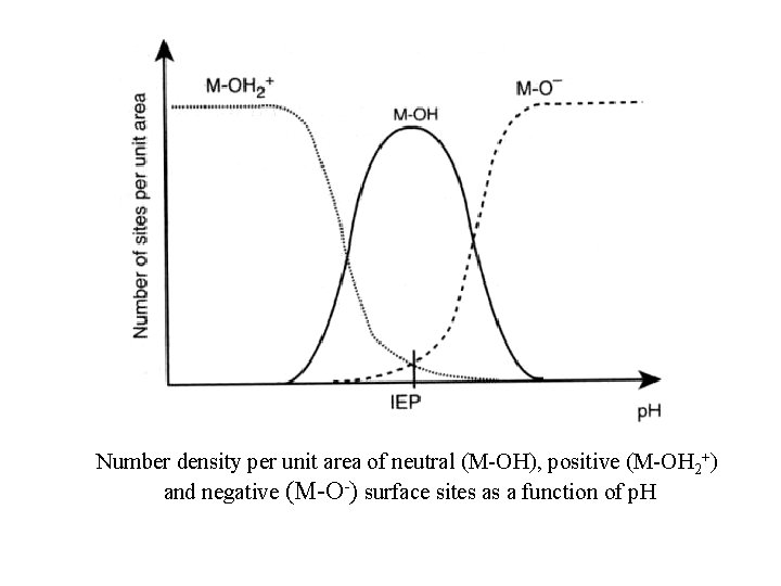 Number density per unit area of neutral (M-OH), positive (M-OH 2+) and negative (M-O-)