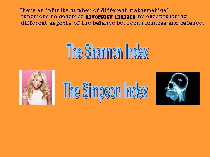 There an infinite number of different mathematical functions to describe diversity indices by encapsulating