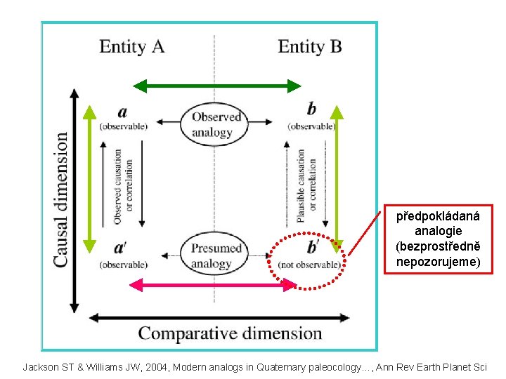 předpokládaná analogie (bezprostředně nepozorujeme) Jackson ST & Williams JW, 2004, Modern analogs in Quaternary