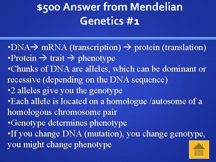 $500 Answer from Mendelian Genetics #1 • DNA m. RNA (transcription) protein (translation) •