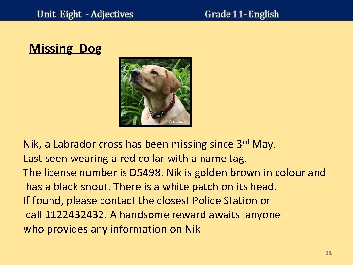 Missing Dog Nik, a Labrador cross has been missing since 3 rd May. Last