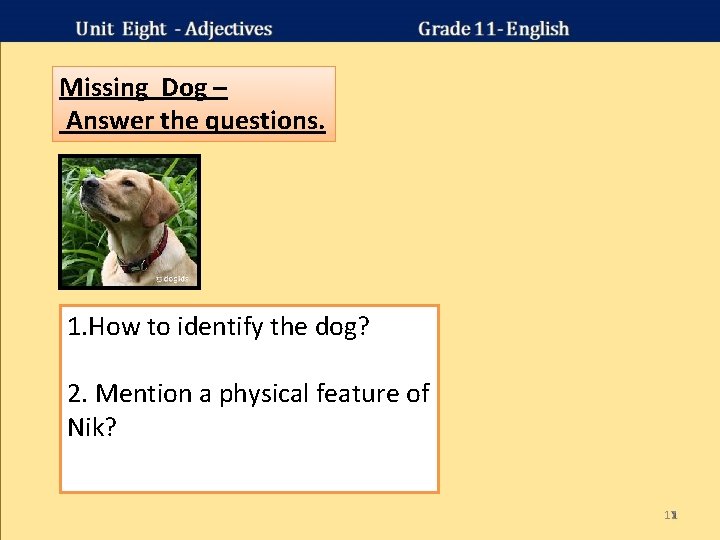 Missing Dog – Answer the questions. 1. How to identify the dog? 2. Mention