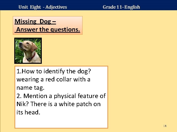 Missing Dog – Answer the questions. 1. How to identify the dog? wearing a