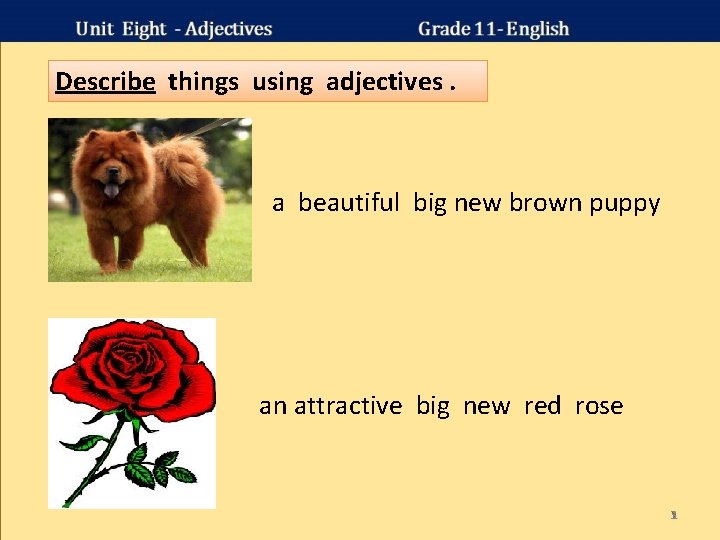 Describe things using adjectives. a beautiful big new brown puppy an attractive big new