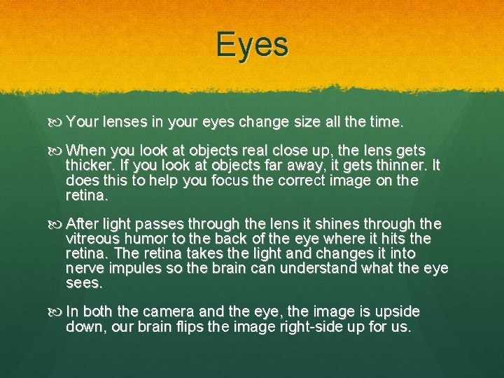 Eyes Your lenses in your eyes change size all the time. When you look