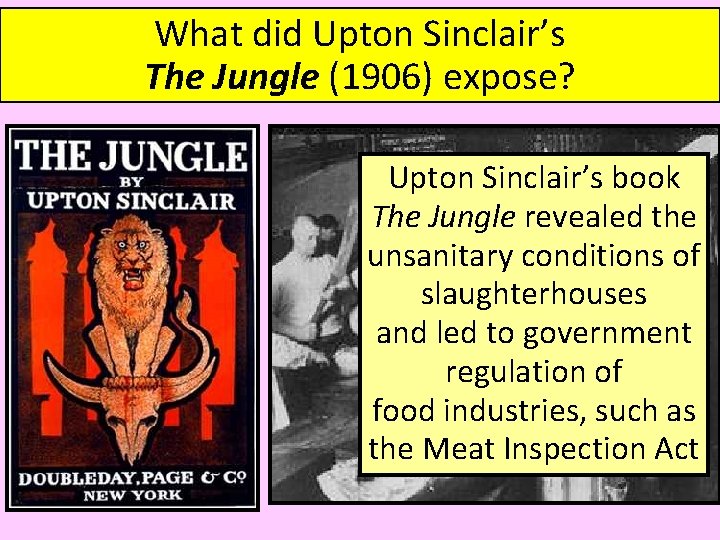 What did Upton Sinclair’s The Jungle (1906) expose? Upton Sinclair’s book The Jungle revealed