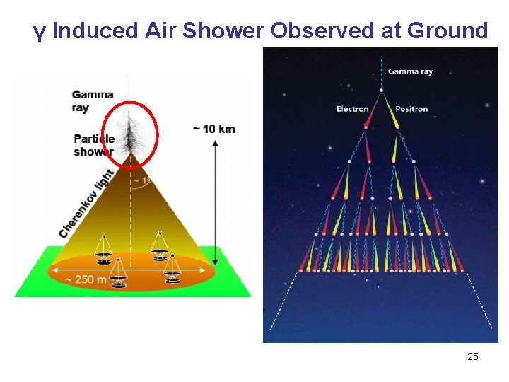 γ Induced Air Shower Observed at Ground 25 