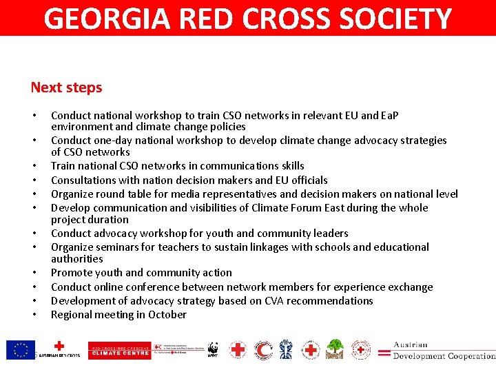 GEORGIA RED CROSS SOCIETY Next steps • • • 16 Conduct national workshop to