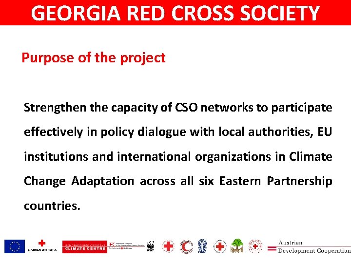 GEORGIA RED CROSS SOCIETY Purpose of the project Strengthen the capacity of CSO networks