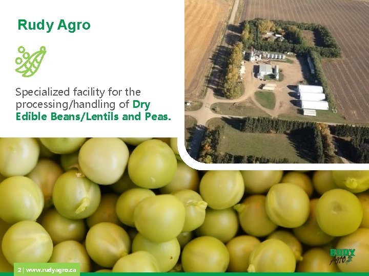 Rudy Agro Specialized facility for the processing/handling of Dry Edible Beans/Lentils and Peas. 2