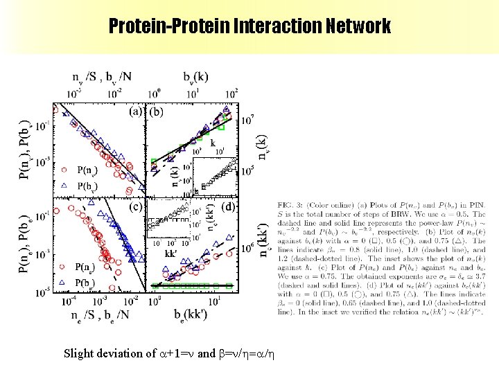 Protein-Protein Interaction Network Slight deviation of a+1=n and b=n/h=a/h 