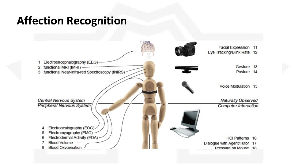 Affection Recognition Affection Recognition