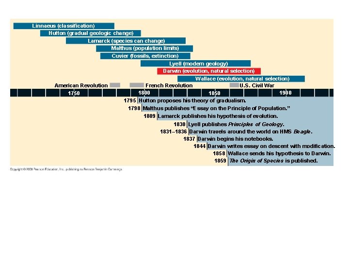 Linnaeus (classification) Hutton (gradual geologic change) Lamarck (species can change) Malthus (population limits) Cuvier