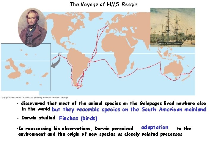 The Voyage of HMS Beagle - discovered that most of the animal species on