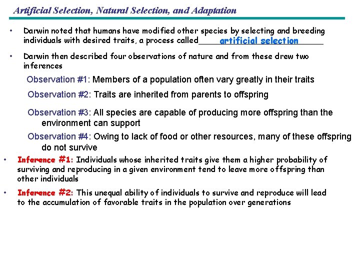 Artificial Selection, Natural Selection, and Adaptation • Darwin noted that humans have modified other