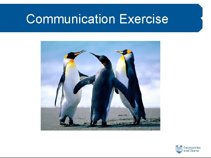 Communication Exercise 