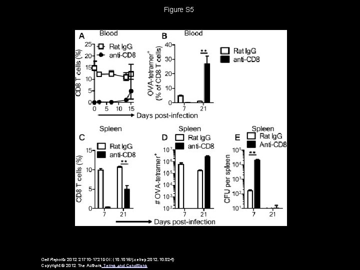 Figure S 5 Cell Reports 2012 21710 -1721 DOI: (10. 1016/j. celrep. 2012. 10.