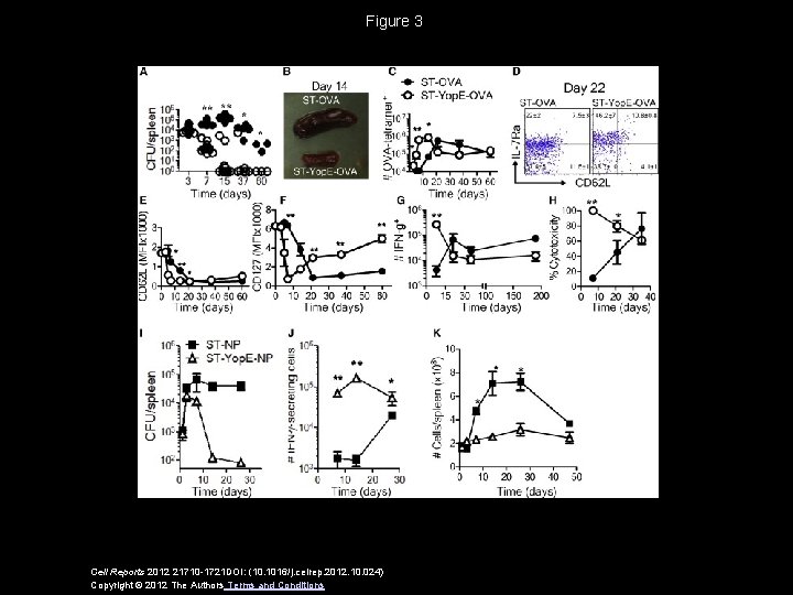 Figure 3 Cell Reports 2012 21710 -1721 DOI: (10. 1016/j. celrep. 2012. 10. 024)