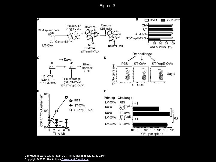 Figure 6 Cell Reports 2012 21710 -1721 DOI: (10. 1016/j. celrep. 2012. 10. 024)