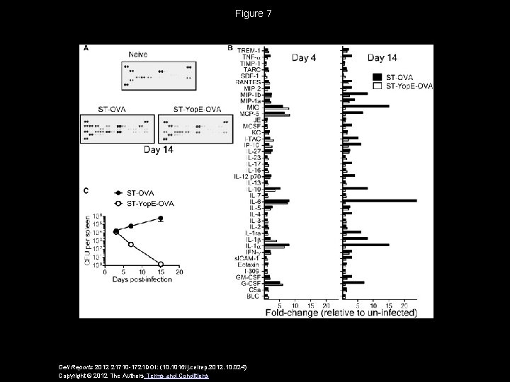 Figure 7 Cell Reports 2012 21710 -1721 DOI: (10. 1016/j. celrep. 2012. 10. 024)