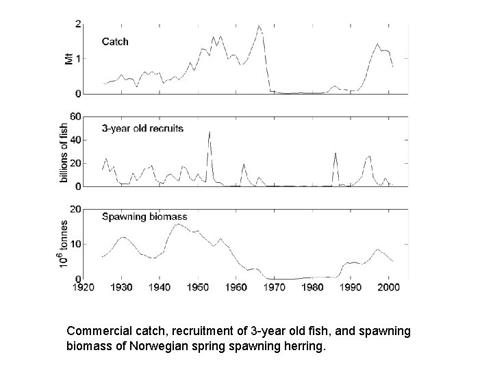 Commercial catch, recruitment of 3 -year old fish, and spawning biomass of Norwegian spring