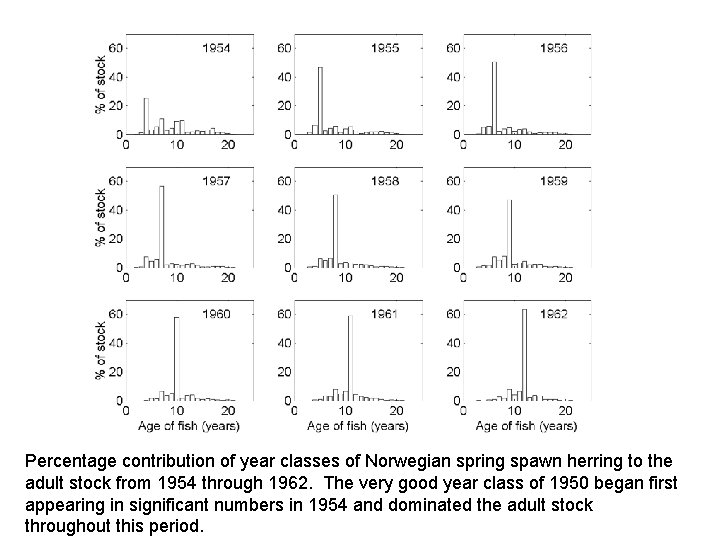 Percentage contribution of year classes of Norwegian spring spawn herring to the adult stock