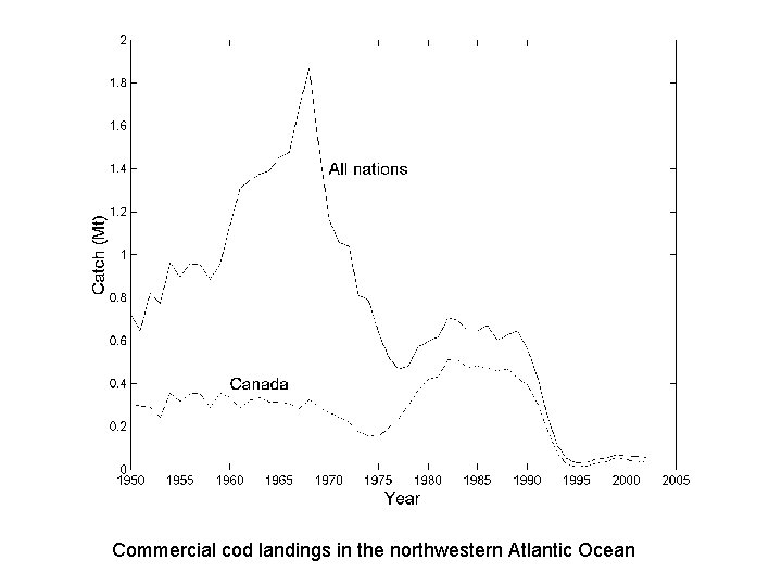 Commercial cod landings in the northwestern Atlantic Ocean 