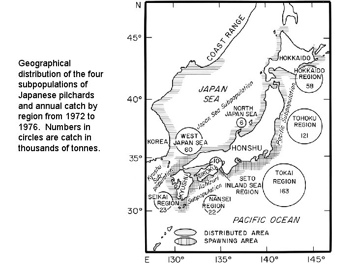 Geographical distribution of the four subpopulations of Japanese pilchards and annual catch by region
