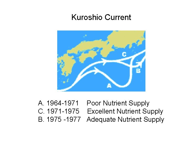 Kuroshio Current A. 1964 -1971 Poor Nutrient Supply C. 1971 -1975 Excellent Nutrient Supply