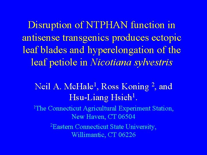Disruption of NTPHAN function in antisense transgenics produces ectopic leaf blades and hyperelongation of