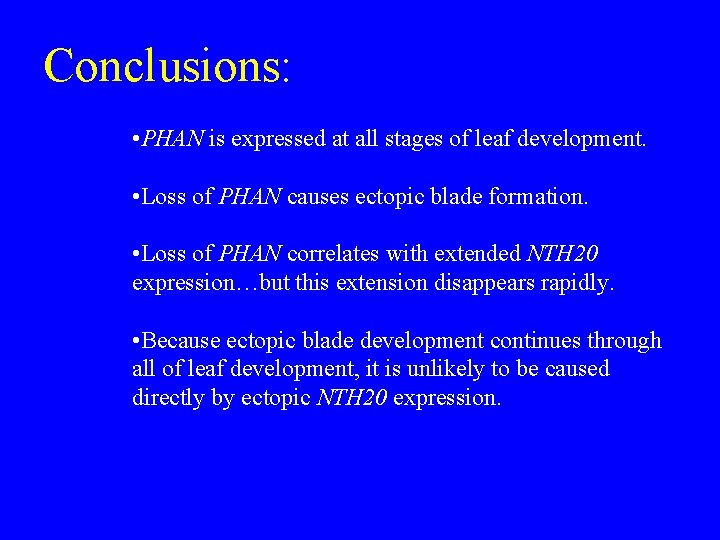 Conclusions: • PHAN is expressed at all stages of leaf development. • Loss of