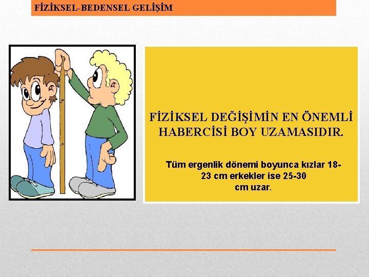 FİZİKSEL-BEDENSEL GELİŞİM FİZİKSEL DEĞİŞİMİN EN ÖNEMLİ HABERCİSİ BOY UZAMASIDIR. Tüm ergenlik dönemi boyunca kızlar