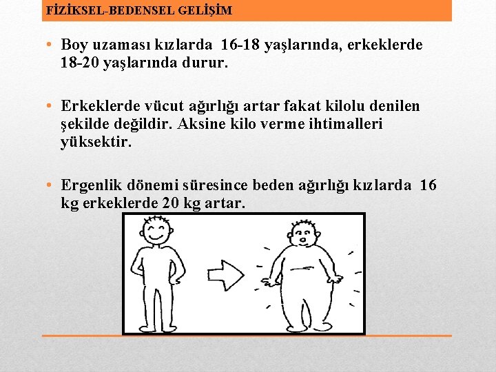 FİZİKSEL-BEDENSEL GELİŞİM • Boy uzaması kızlarda 16 -18 yaşlarında, erkeklerde 18 -20 yaşlarında durur.