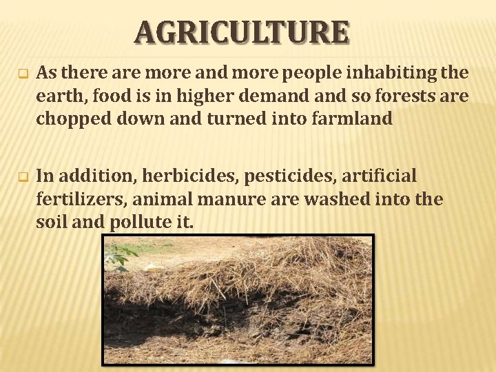 AGRICULTURE As there are more and more people inhabiting the earth, food is in