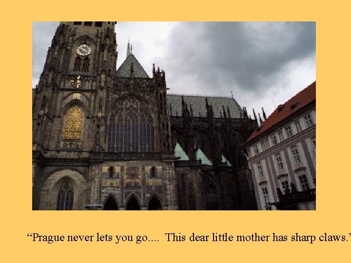“Prague never lets you go. . This dear little mother has sharp claws. ”
