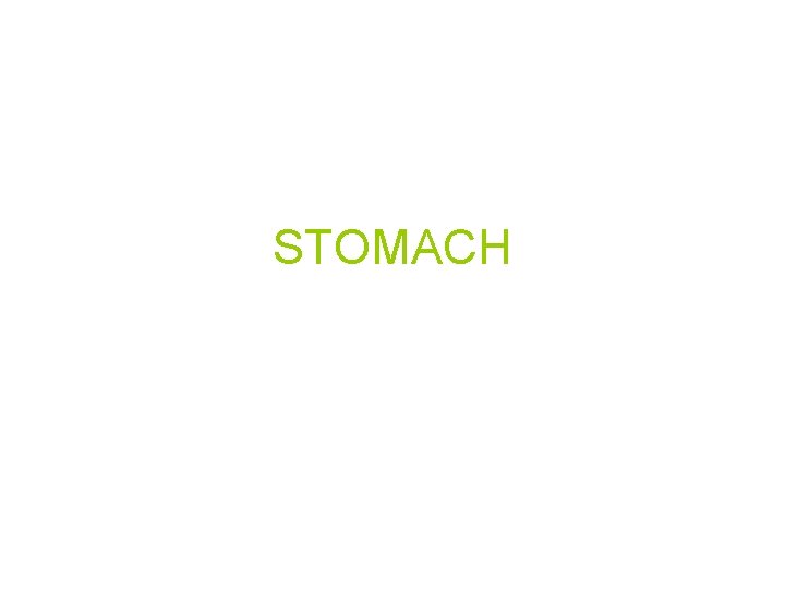 STOMACH STOMACH
