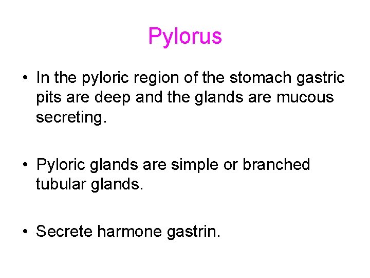 Pylorus • In the pyloric region of the stomach gastric pits are deep and Pylorus • In the pyloric region of the stomach gastric pits are deep and