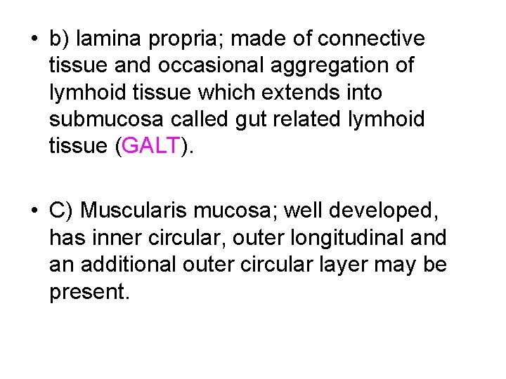 • b) lamina propria; made of connective tissue and occasional aggregation of lymhoid • b) lamina propria; made of connective tissue and occasional aggregation of lymhoid