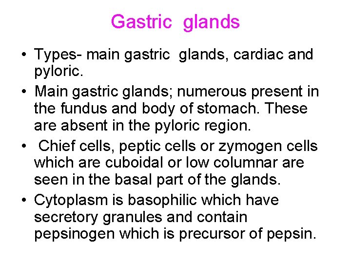 Gastric glands • Types- main gastric glands, cardiac and pyloric. • Main gastric glands; Gastric glands • Types- main gastric glands, cardiac and pyloric. • Main gastric glands;