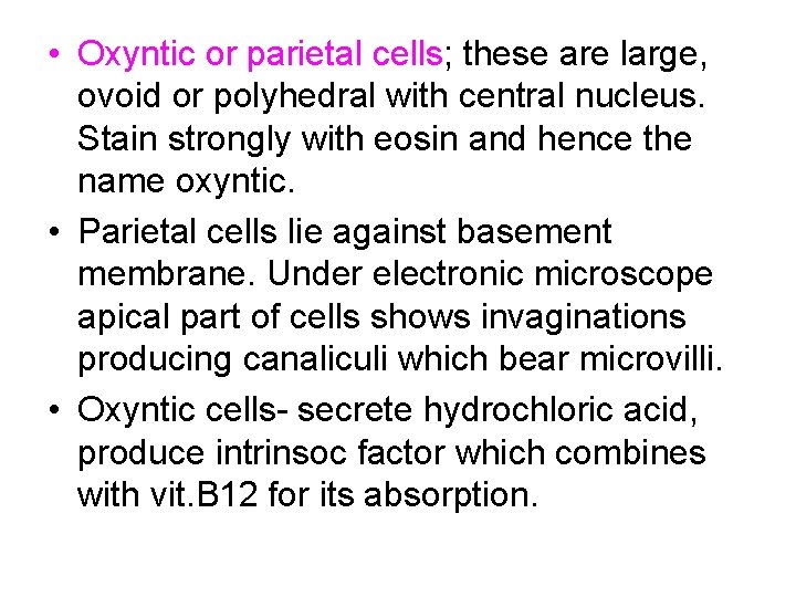 • Oxyntic or parietal cells; these are large, ovoid or polyhedral with central • Oxyntic or parietal cells; these are large, ovoid or polyhedral with central